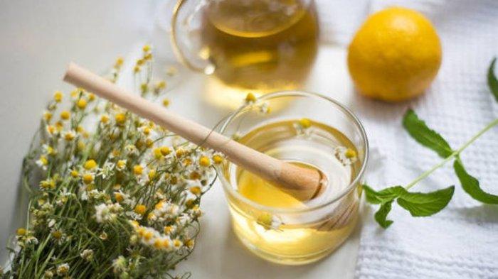 Diet dengan Minuman Herbal, Dokter Spesialis Gizi Sampaikan Pendapatnya