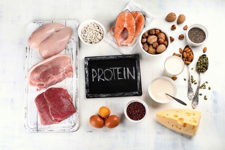 ilustrasi makanan sumber protein