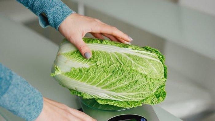 Ilustrasi sawi putih, berikut ini fakta sawi putih yang bagus untuk kesehatan