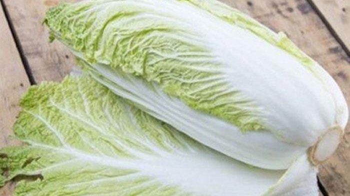 Ilustrasi sawi putih, berikut ini fakta sawi putih yang bagus untuk kesehatan