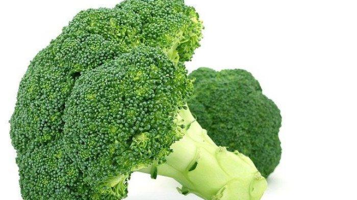 manfaat sayur brokoli untuk keehatan