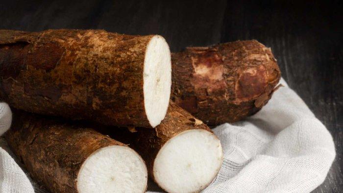 Banyak yang Belum Tau Manfaat Singkong, Salah Satunya Mengurangi Tekanan Darah