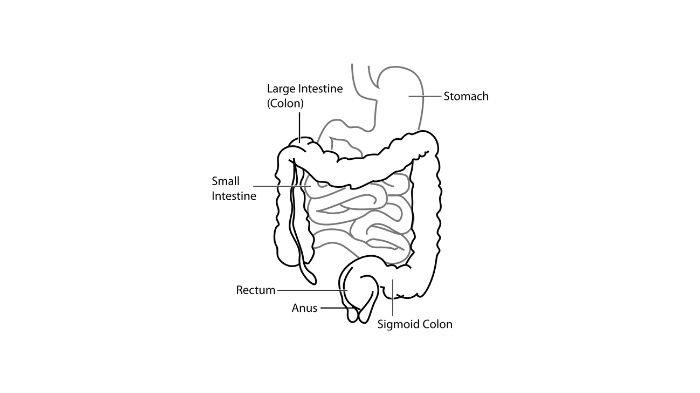 Waspadai Infeksi Kandung Kemih, Bisa Terjadi karena Salah Membersihkan Organ Vital