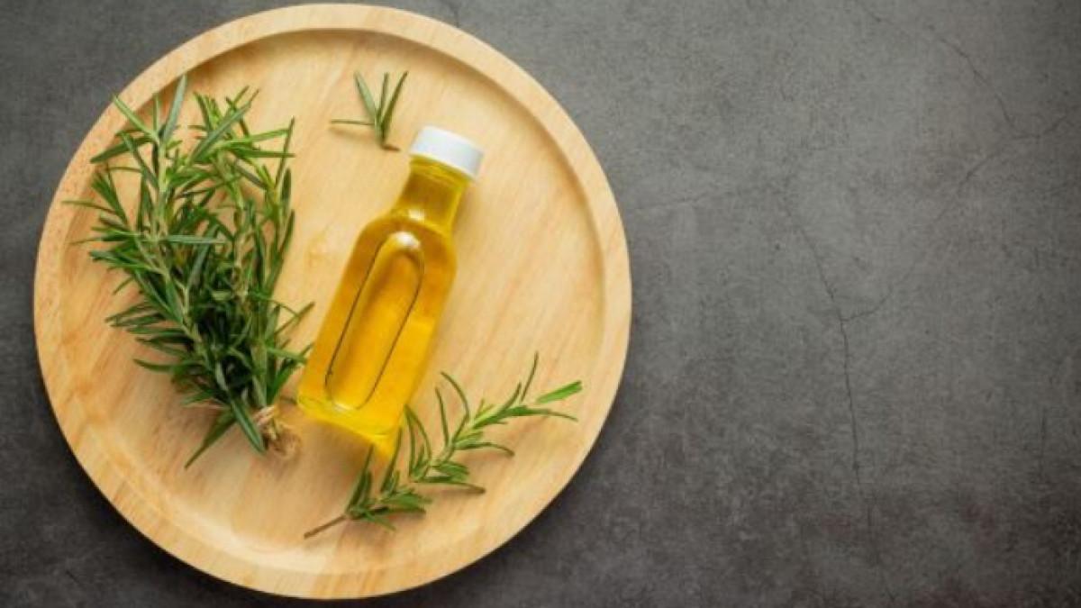 Ilustrasi tea tree oil, berikut ini fakta mengenai tea tree oil yang bagus untuk kulit dan rambut