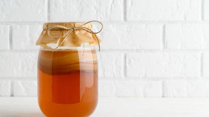 Ilustrasi kombucha, minuman alternatif pengganti soda