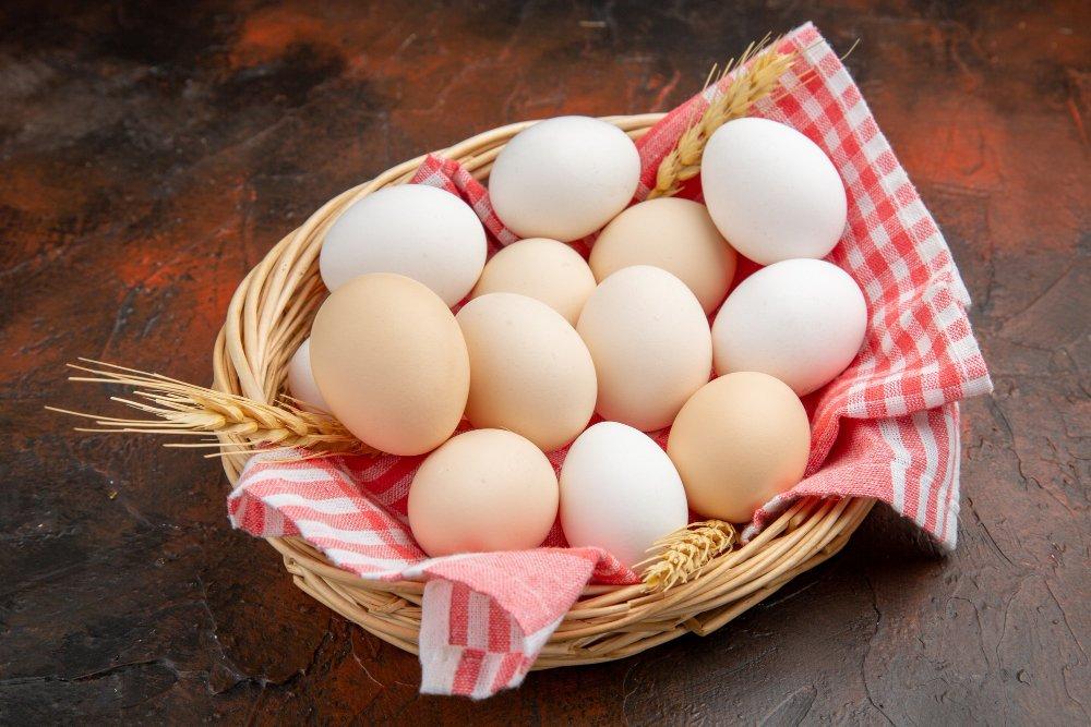 ilustrasi telur, makanan tinggi protein yang cocok untuk MPASI bayi