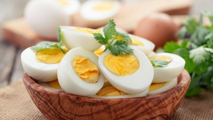 ilustrasi telur rebus