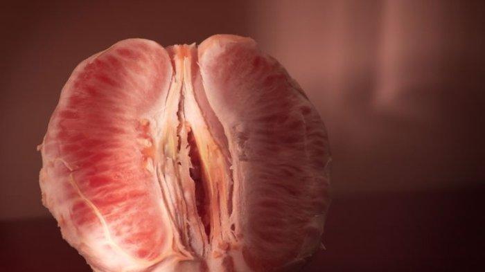 ilustrasi vagina kering