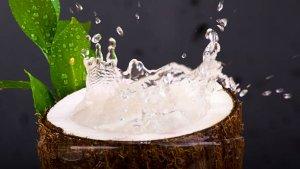 benarkah-minum-air-kelapa-bisa-menurunkan-kadar-gula-darah-penderita-diabetes-perlu-tahu.jpg