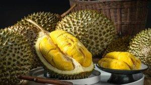 biji-durian.jpg