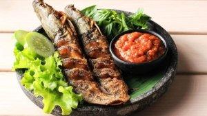 ikan-lele_2.jpg