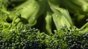 ilustrasi-sayur-brokoli.jpg