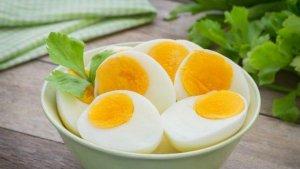 ilustrasi-telur-ayam-yang-mengandung-tinggi-protein.jpg