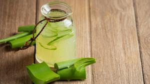 jus-lidah-buaya_21.jpg