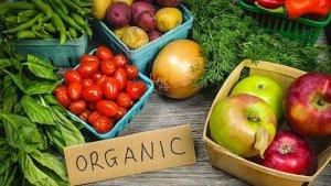 makanan-organik.jpg