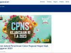 10-link-pengumuman-seleksi-administrasi-cpns-pppk-202.jpg