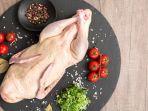 Ilustrasi-daging-bebek.jpg