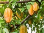 Manfaat-buah-belimbing-bagi-kesehatan-tubuh.jpg