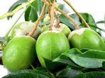 Manfaat-buah-kedondong-bagi-kesehatan.jpg
