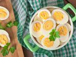 Telur-salah-satu-sumber-protein-hewani-terjangkau-yang-bermanfaat-untuk-mencegah-stunting.jpg