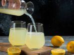 air-lemon_31.jpg