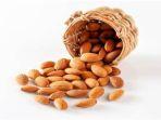 almond3.jpg