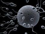 analisis-sperma-pria-mandul.jpg