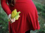 baby-bump-atau-membesarnya-perut-selama-kehamilan.jpg