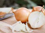 bawang-bombay-1.jpg