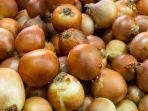 bawang-bombay-2.jpg