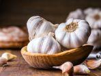 bawang-putih-1.jpg