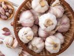 bawang-putih-3.jpg