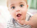 bayi-tumbuh-gigi-11.jpg