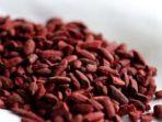 beras-ragi-merah-atau-angkak-untuk-menurunkan-kadar-kolesterol.jpg