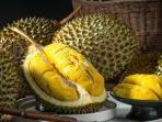 biji-durian.jpg