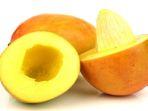 biji-mangga.jpg