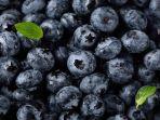 blueberry1.jpg