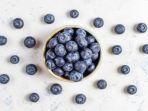 blueberry2.jpg