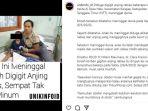 bocah-4-tahun-digigit-anjing-dan-sempat-takut-angin.jpg