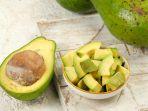 buah-alpukat-5.jpg