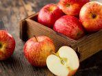 buah-apel-2.jpg