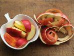 buah-apel-6.jpg