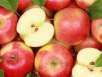 buah-apel-7.jpg