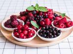 buah-berry-11.jpg