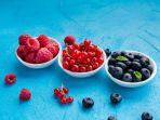 buah-berry-14.jpg