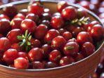 buah-cranberry.jpg
