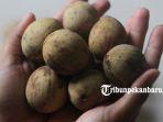 buah-duku-cukup-digemari-di-masyarakat.jpg