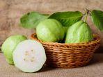 buah-jambu-biji-yang-kaya-manfaat.jpg