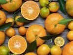 buah-jeruk-4.jpg