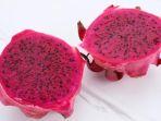 buah-naga.jpg